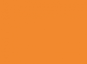 Оранжевый 1036-6
