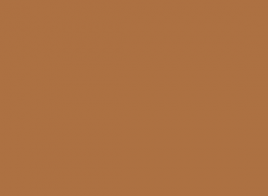 Light brown 081 